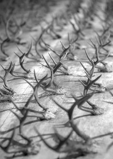 The Valley of Death