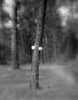 hidden