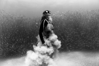 Freediving through Akule