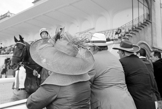 At the Races 1