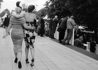 At the Races 4