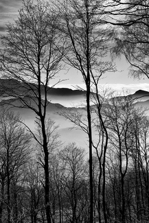 in Ticino Switzerland