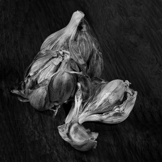 Garlic 4
