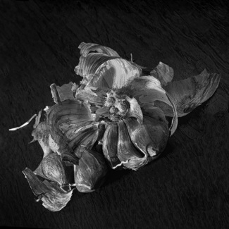Garlic 7