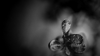Untitled (5)