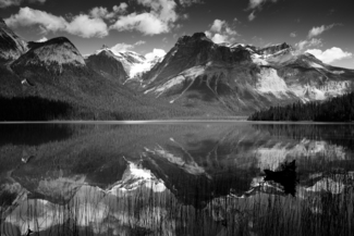 Reflexion