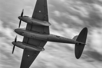 Mosquito