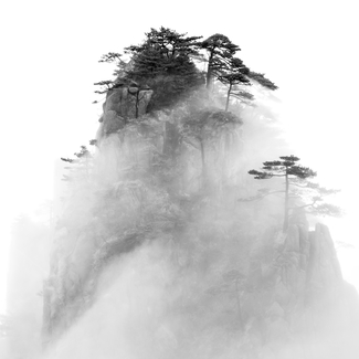 van Hoogstraten-Frans-Veil of Mist
