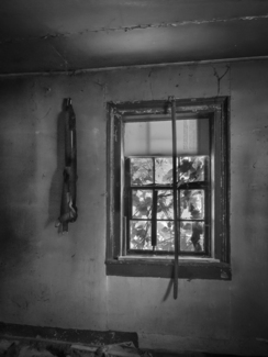 Ed's Room