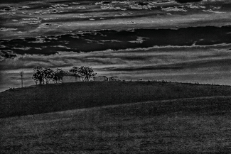 From the Road Side