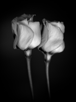 Two