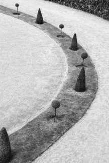 The Circle