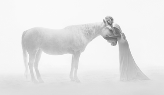 Dream Series