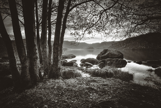 Whispering Waters