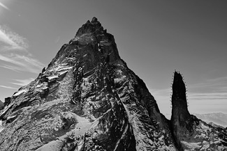 Alpine Cactus formed by Climbers
