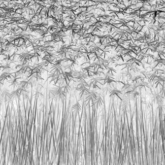 Parallelism