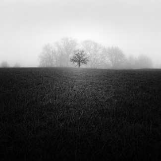 Happy tree