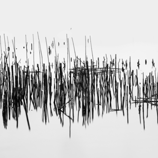 scrawl