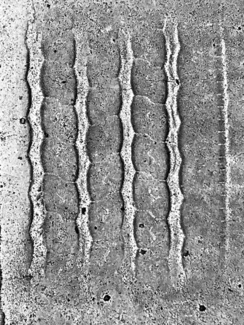 Crosswalk 4
