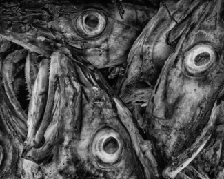 Cod Heads