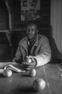 The Tomato Grower 2