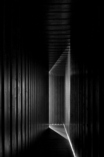 Light