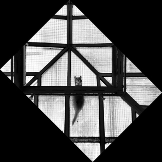 Catometry