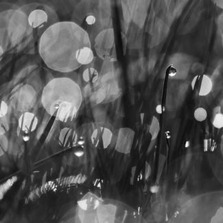 fading diamonds