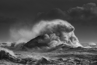 monster of the sea