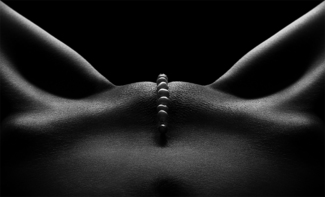 Bodies 2
