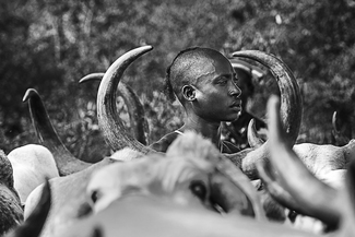 The Bull Jumper, Omo Valley, Ethiopia