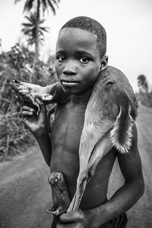 Bush Meat, Sierra Leone
