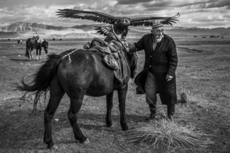 Wing Span, Mongolia