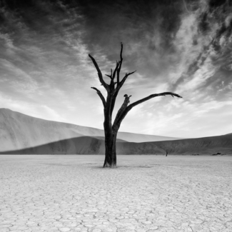 Centuries Stand