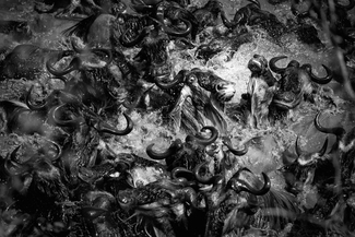 Dantes Inferno