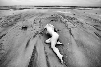 Siren