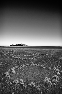Where the Aliens come....
