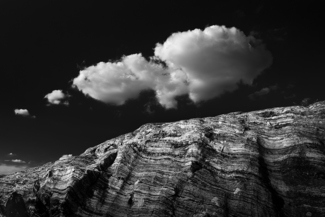 Dark Nature