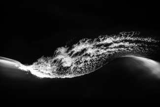 Wake Forms