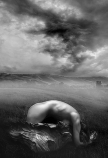 Emergence 3