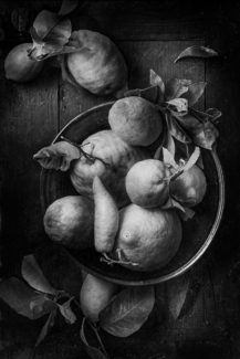 Lemons from Lake Garda