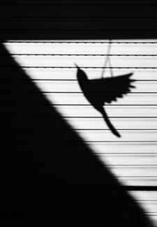 Hanging