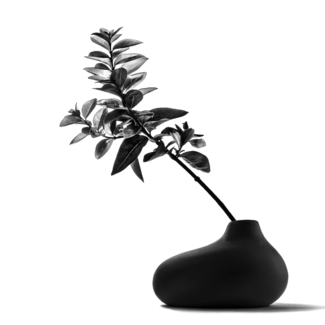 Black vase