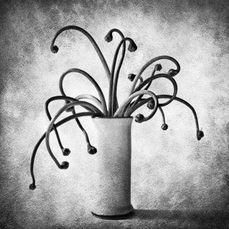 Tentacles