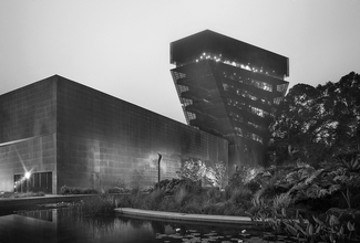 de Young Fog