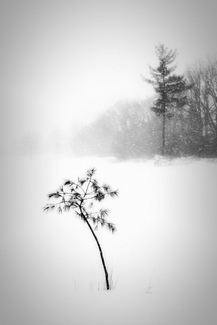 Lonely But Not Alone