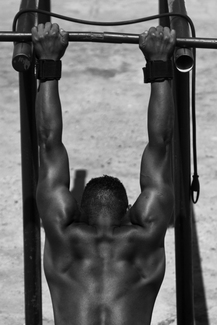 Thrum-Rainer_male body
