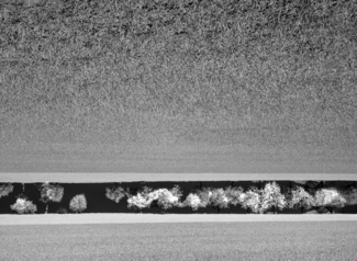 Thrum-Rainer_Piled Horizon