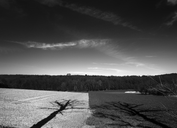 autumn-landscape