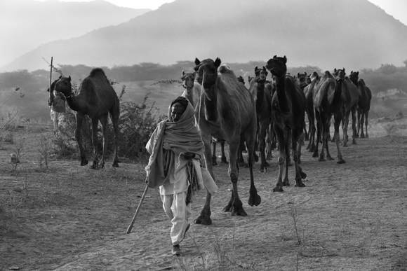 Scene from Pushkar